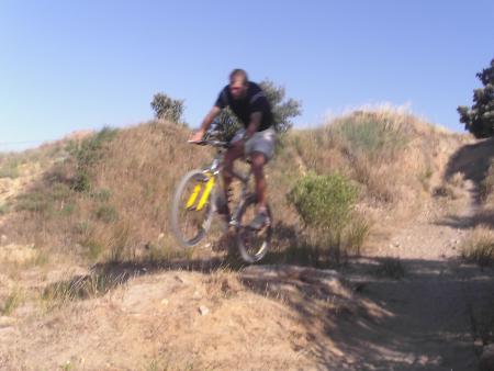Toto sur un saut