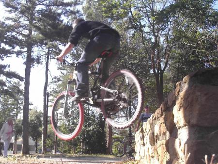 Ju en plein saut