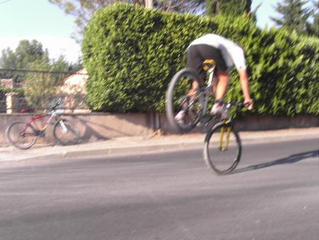 Toto en plein action